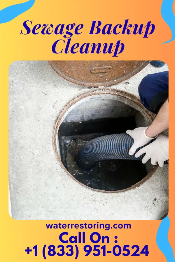 Sewage Backup Cleanup in Herculaneum, MO